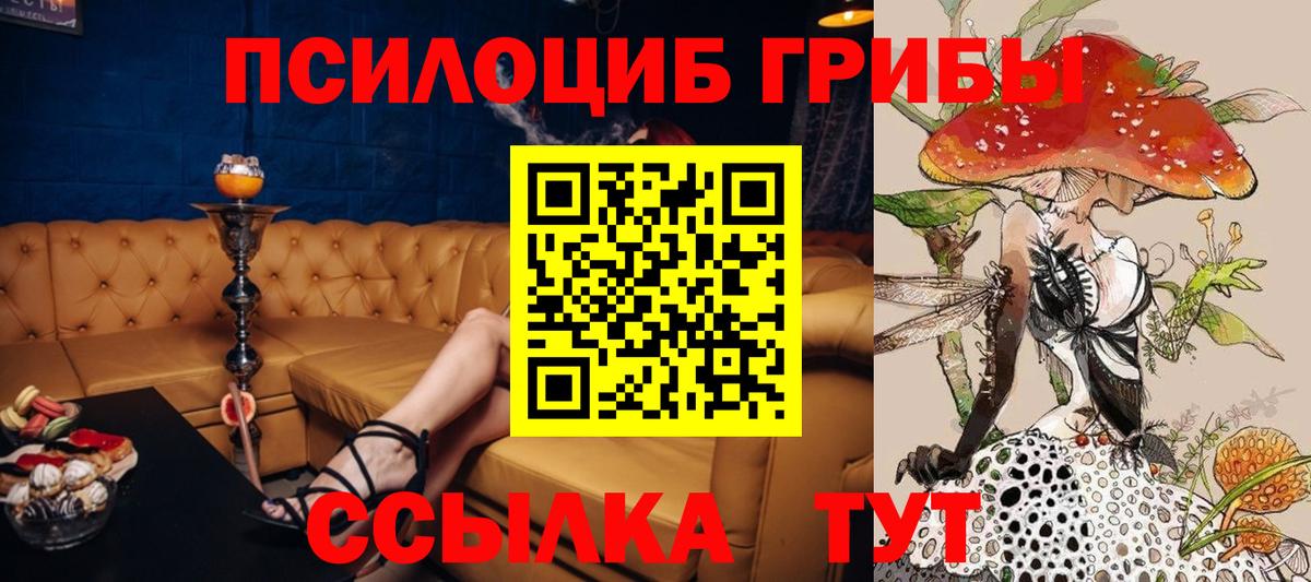 закладки  Вход с VPN  Моздок  Галлюциногенные грибы GOLDEN TEACHER 
