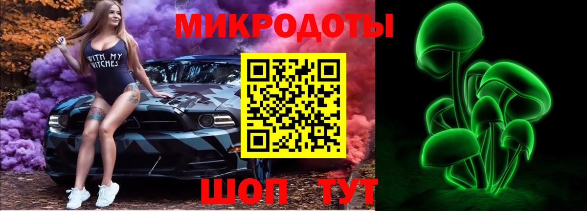 Галлюциногенные грибы Psilocybine cubensis Моздок